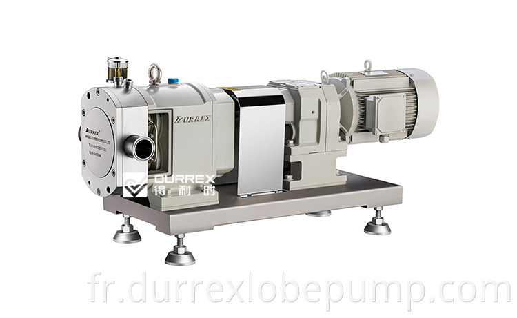 Chocolate Processing Pump